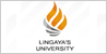 Lingaya's University