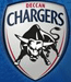 Deccan Chargers- Owner of Hydrebad DLF Indian Premium League Team 2008