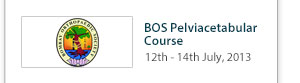 BOS Pelviacetabular Course