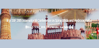 IF & SBF 28th International Conference